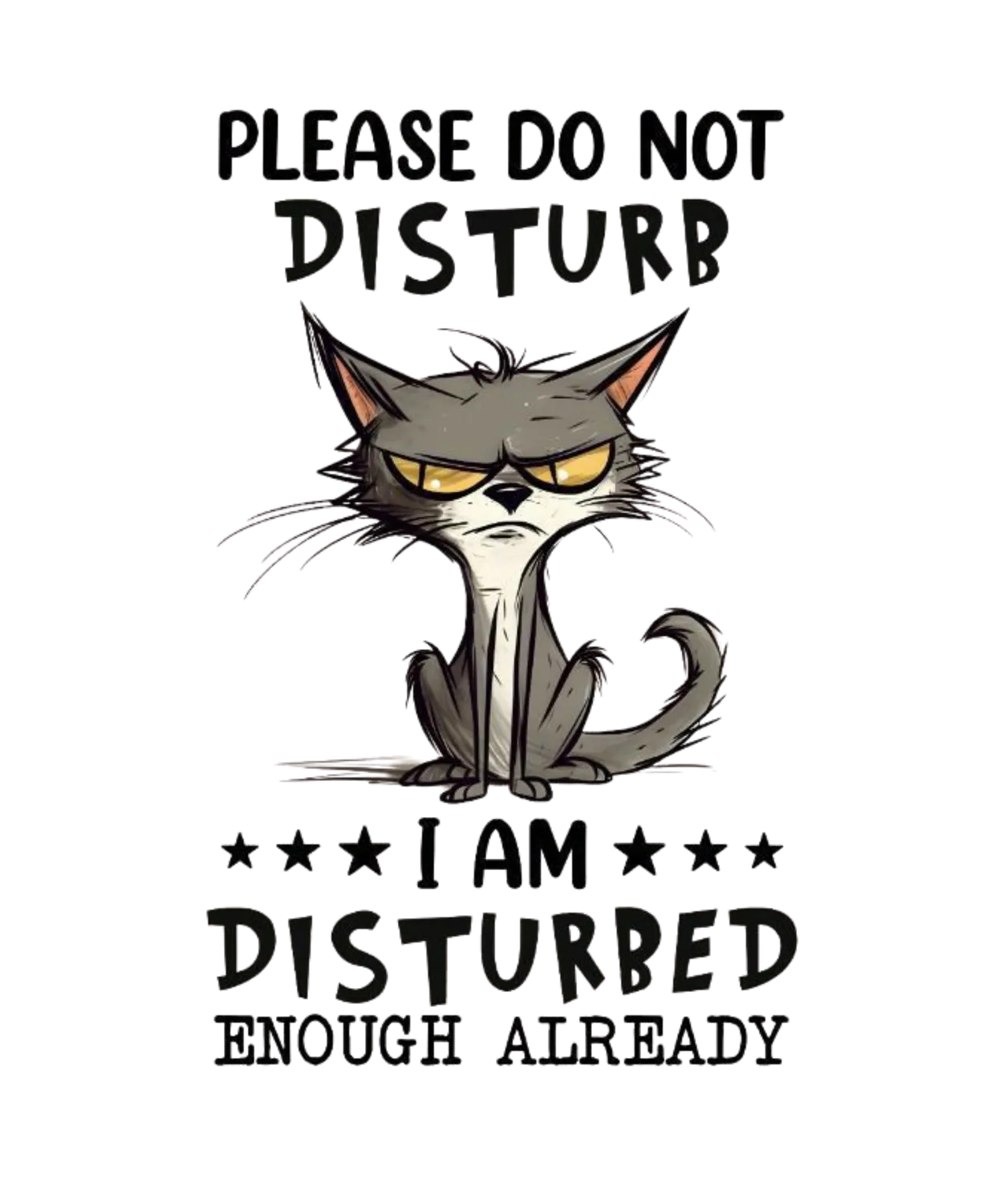 Please Do Not Disturb Grumpy Cat Unisex Oversized T-Shirt 4